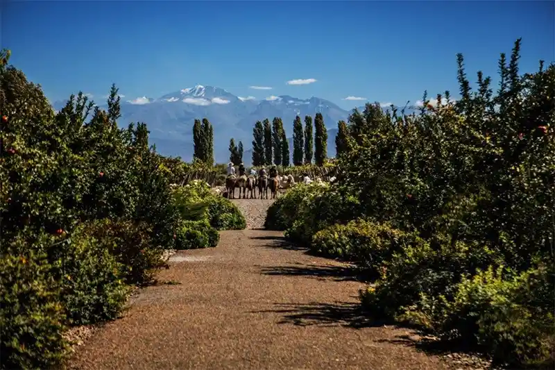 Awasi amplia seu portfólio com a aquisição do Cavas Wine Lodge. em Mendoza