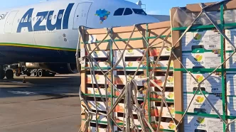 Azul Cargo vê Crescimento no transporte aéreo de carga para impulsionado por frutas brasileiras