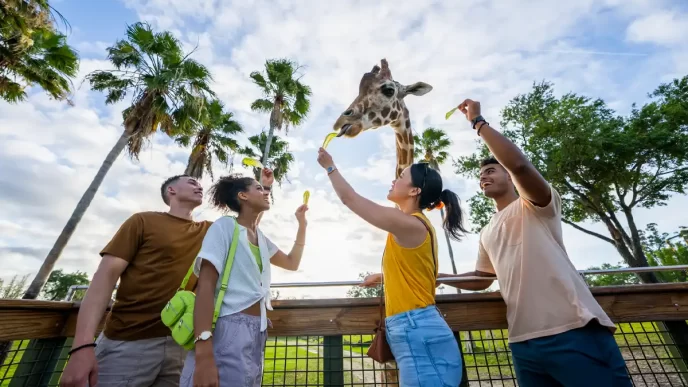 Busch Gardens Tampa Bay anuncia US$40 Milhões em investimentos para 2025