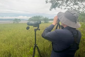 Joinville desponta como destino promissor para o turismo de observação de aves