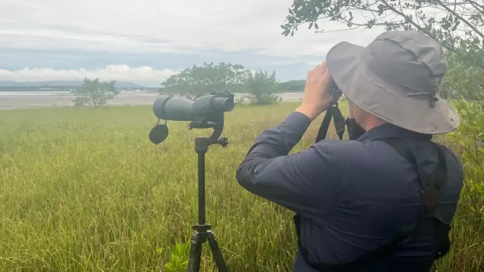 Joinville desponta como destino promissor para o turismo de observação de aves