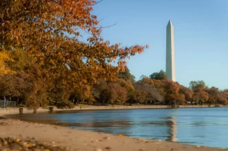 Washington celebra recorde de turistas em 2024. Brasil é o 12º maior mercado internacional