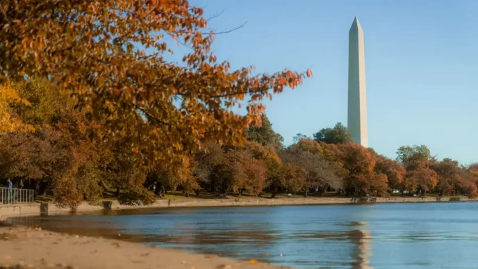 Washington celebra recorde de turistas em 2024. Brasil é o 12º maior mercado internacional
